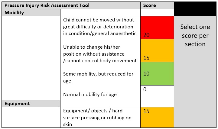 Pressure Injury Risk Assessment Tool
